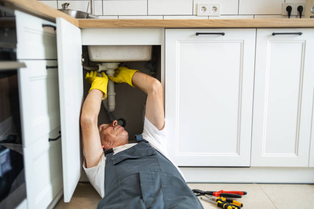 Best Water Leak Repair  in Holiday Heights, NJ